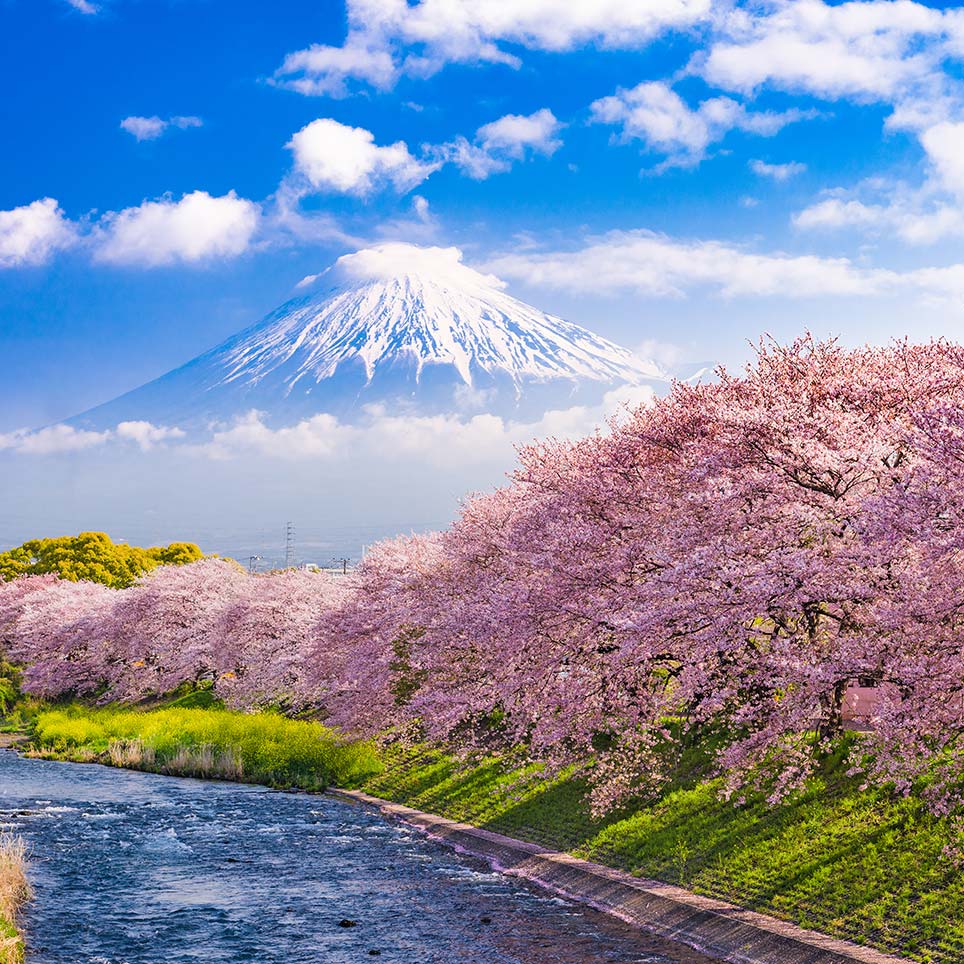 静冈县